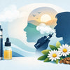 Kanna For Stress: What Vapers Should Know