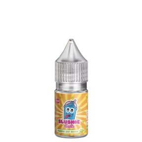 Slushie 10ML Nic Salt (Pack of 10)