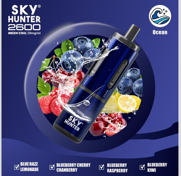 4 in 1 Sky Hunter 2600 Puffs Disposable Vape - Box of 5